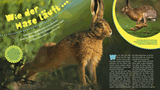 Kreativ: Das GEOlino-Machbuch: Ostern - Bild 5