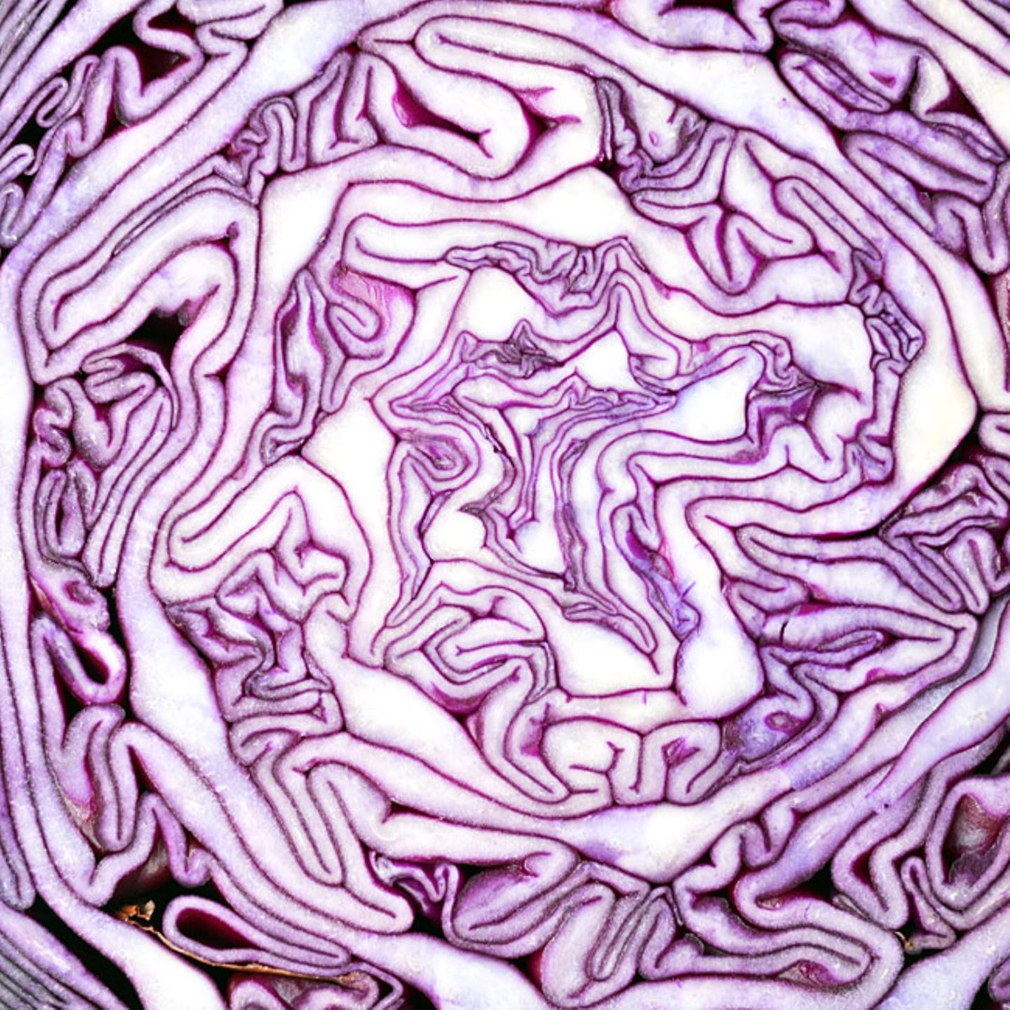 Vitamin K