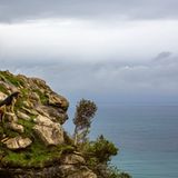 Hütehunde in Neuseeland: "The Shepherd's Lookout, 2014"