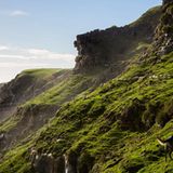 Hütehunde in Neuseeland: "Muster over the Tasman Sea, 2014"
