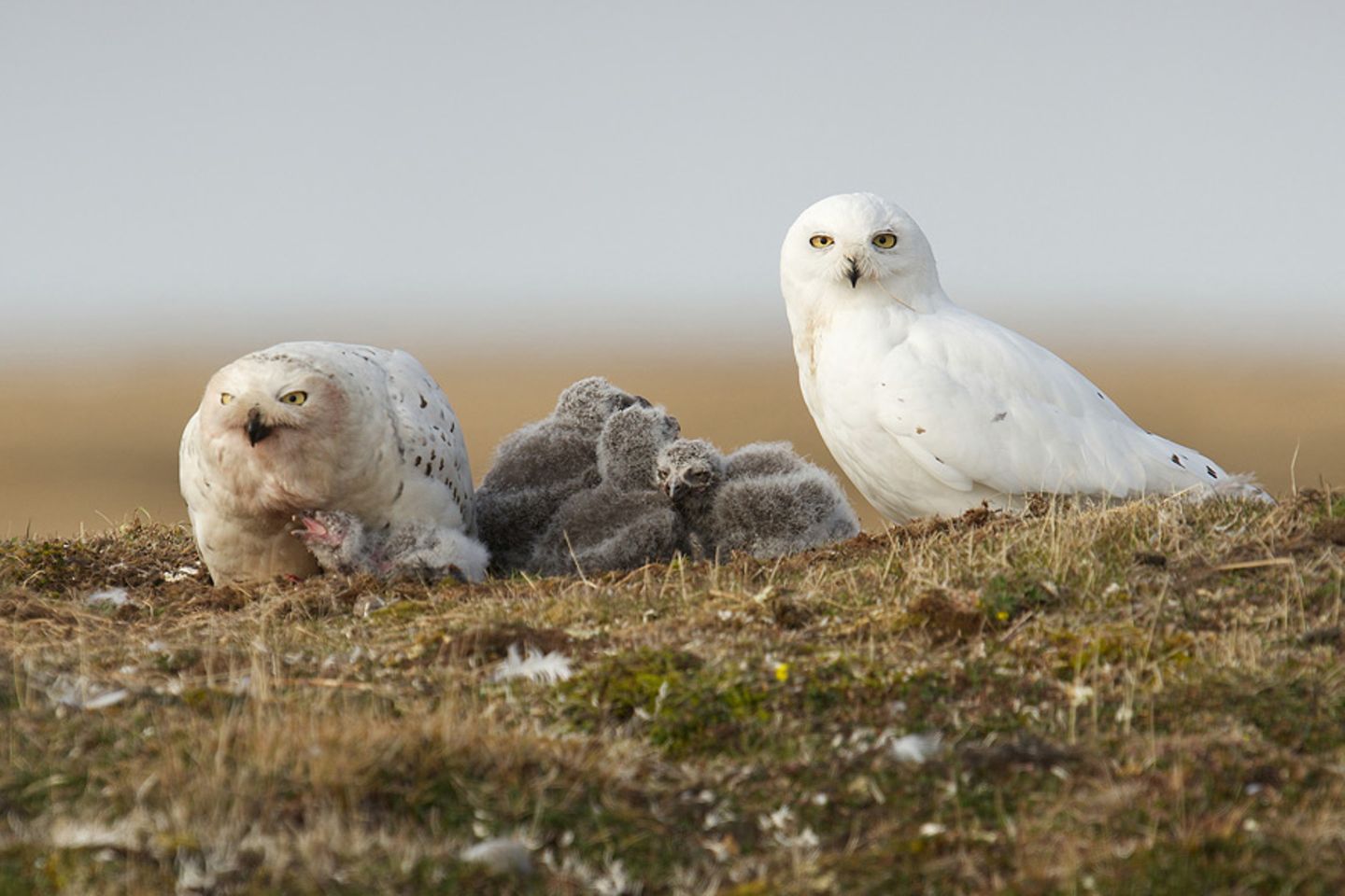 Familienbild ohne Idylle