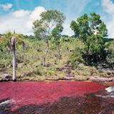 Pinkfarbenes Wasserspiel