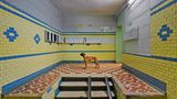 Plattenbau mit Hund