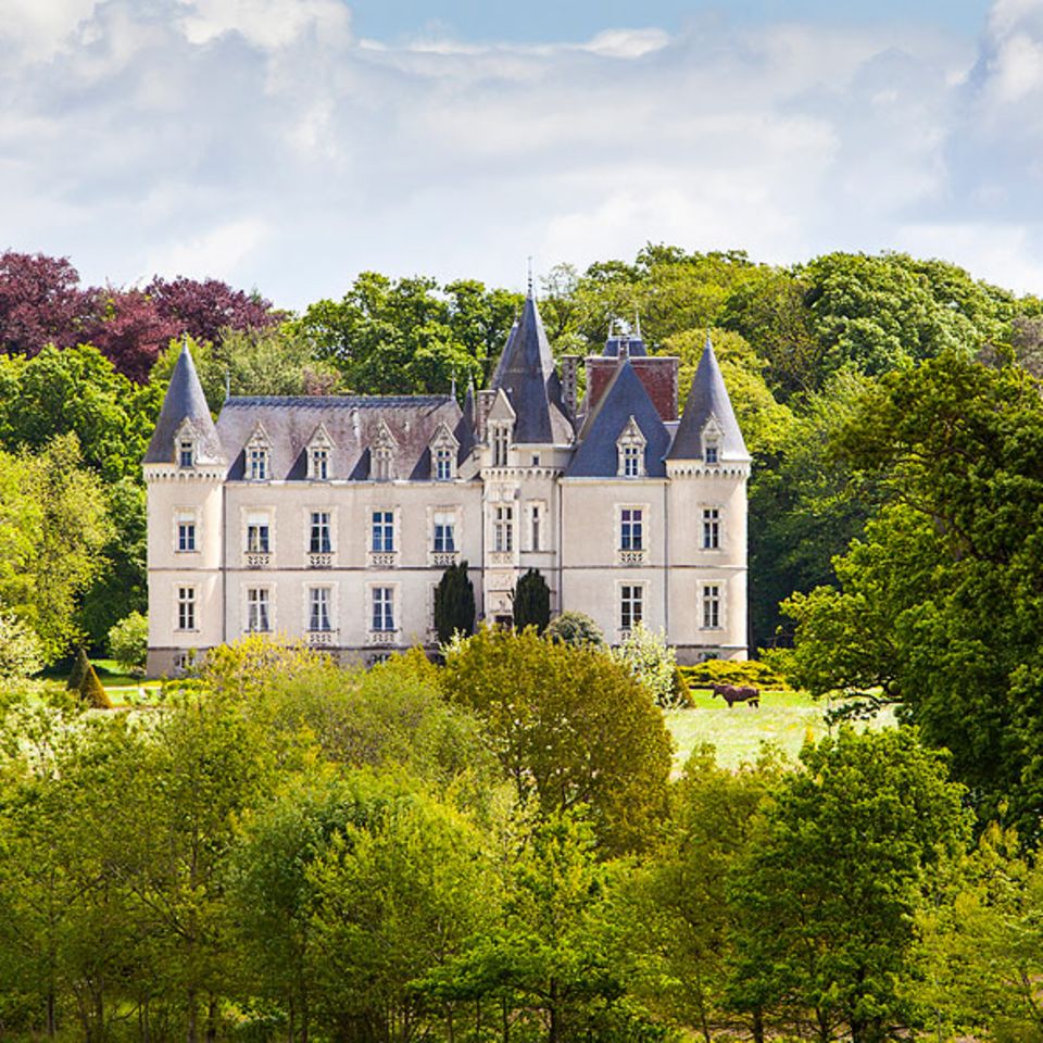 Frankreich: Chateau des Tesnières