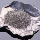 Stimmt es, dass Wild viel Blei enthält?