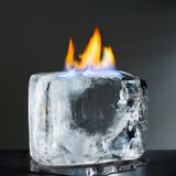 Schadet es, Fleisch einzufrieren?