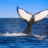 GEO Leserfoto: Die besten Leserfotos: April 2015