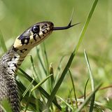 GEO Leserfoto: Die besten Leserfotos: April 2015 - Bild 4