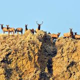 GEO Leserfoto: Die besten Leserfotos: April 2015 - Bild 6