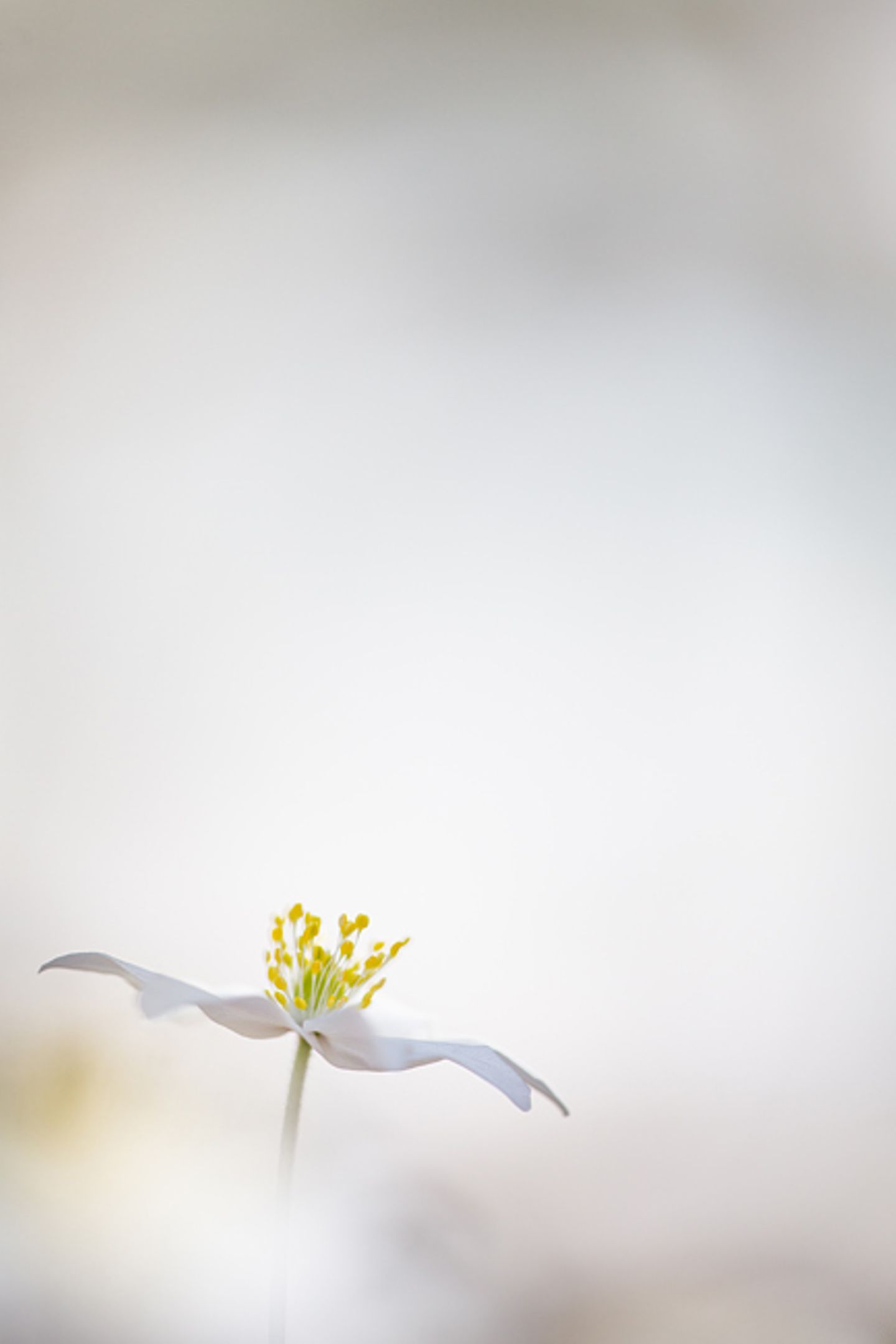 GEO Leserfoto: Die besten Leserfotos: April 2015 - Bild 8