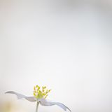 GEO Leserfoto: Die besten Leserfotos: April 2015 - Bild 8