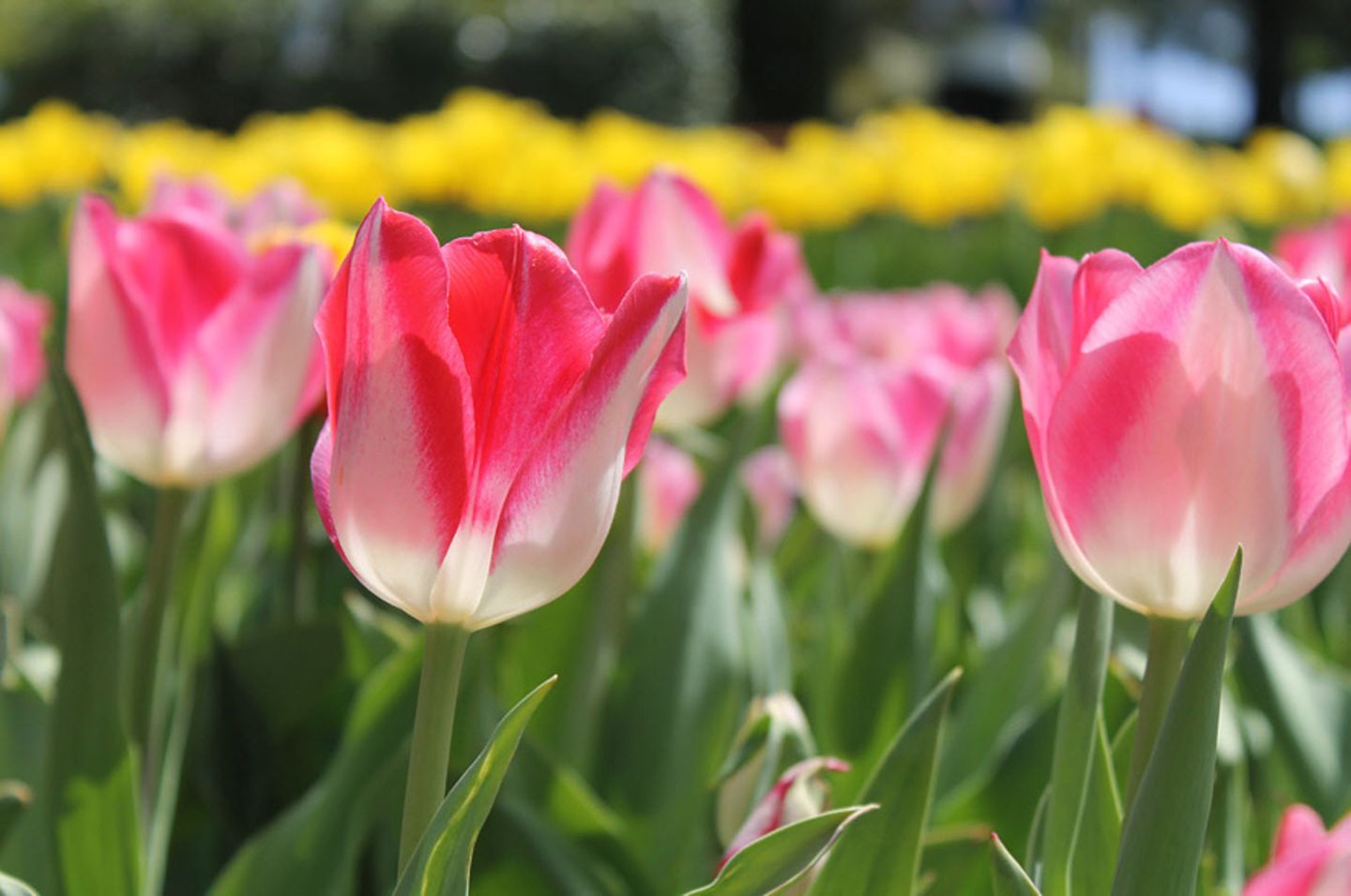 GEO Leserfoto: Die besten Leserfotos: April 2015 - Bild 9