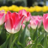 GEO Leserfoto: Die besten Leserfotos: April 2015 - Bild 9