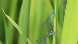 GEO Leserfoto: Die besten Leserfotos: April 2015 - Bild 10