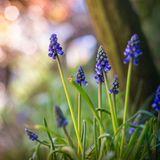 GEO Leserfoto: Die besten Leserfotos: April 2015 - Bild 12