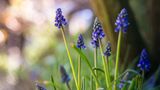GEO Leserfoto: Die besten Leserfotos: April 2015 - Bild 12