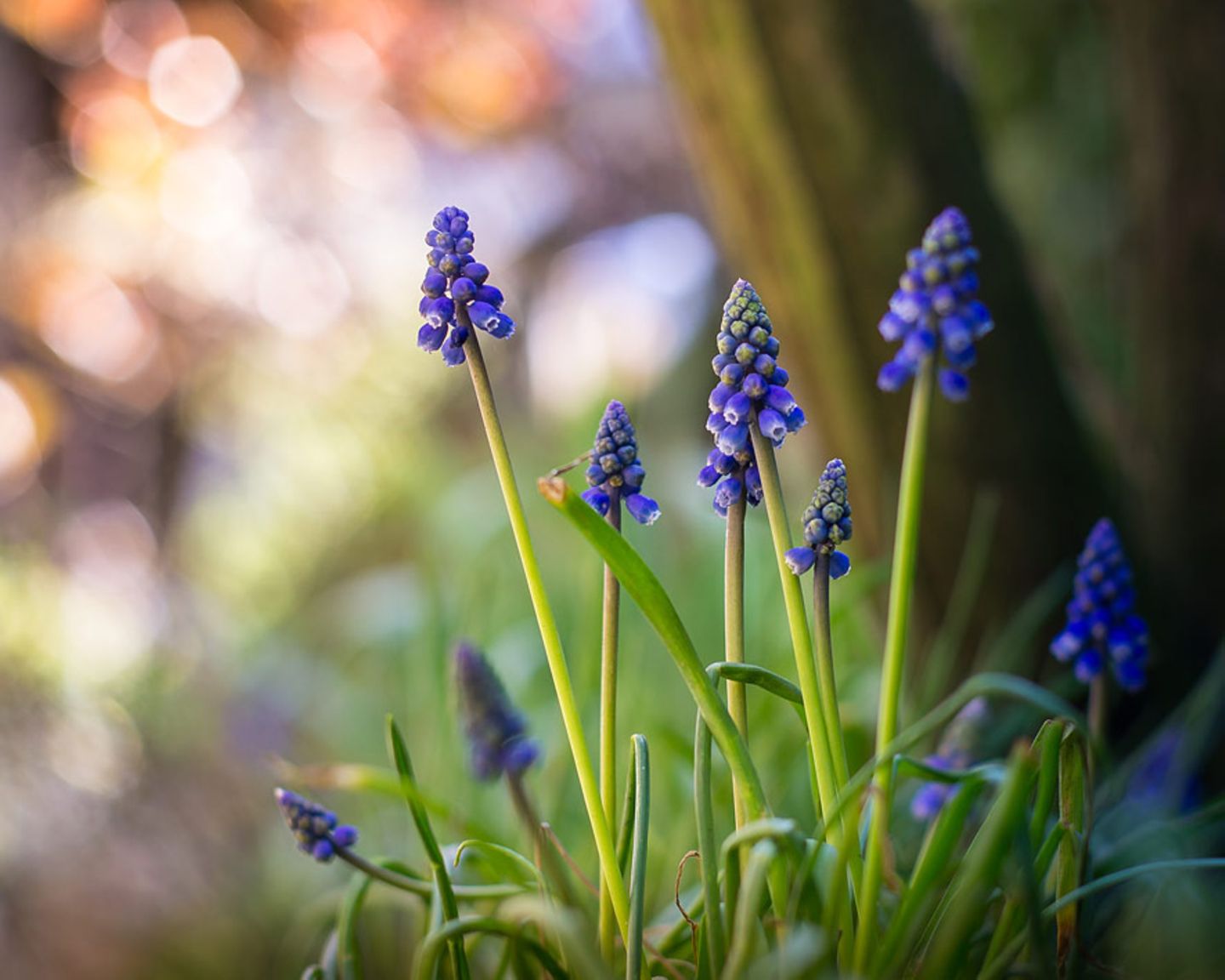GEO Leserfoto: Die besten Leserfotos: April 2015 - Bild 12