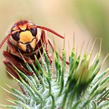 GEO Leserfoto: Die besten Leserfotos: April 2015 - Bild 18