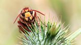 GEO Leserfoto: Die besten Leserfotos: April 2015 - Bild 18