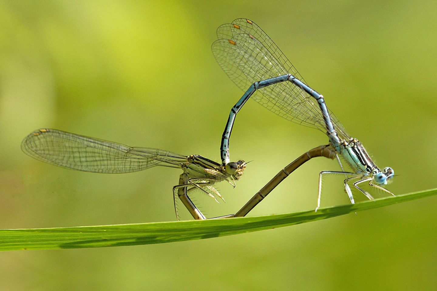 GEO Leserfoto: Die besten Leserfotos: April 2015 - Bild 19