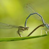 GEO Leserfoto: Die besten Leserfotos: April 2015 - Bild 19