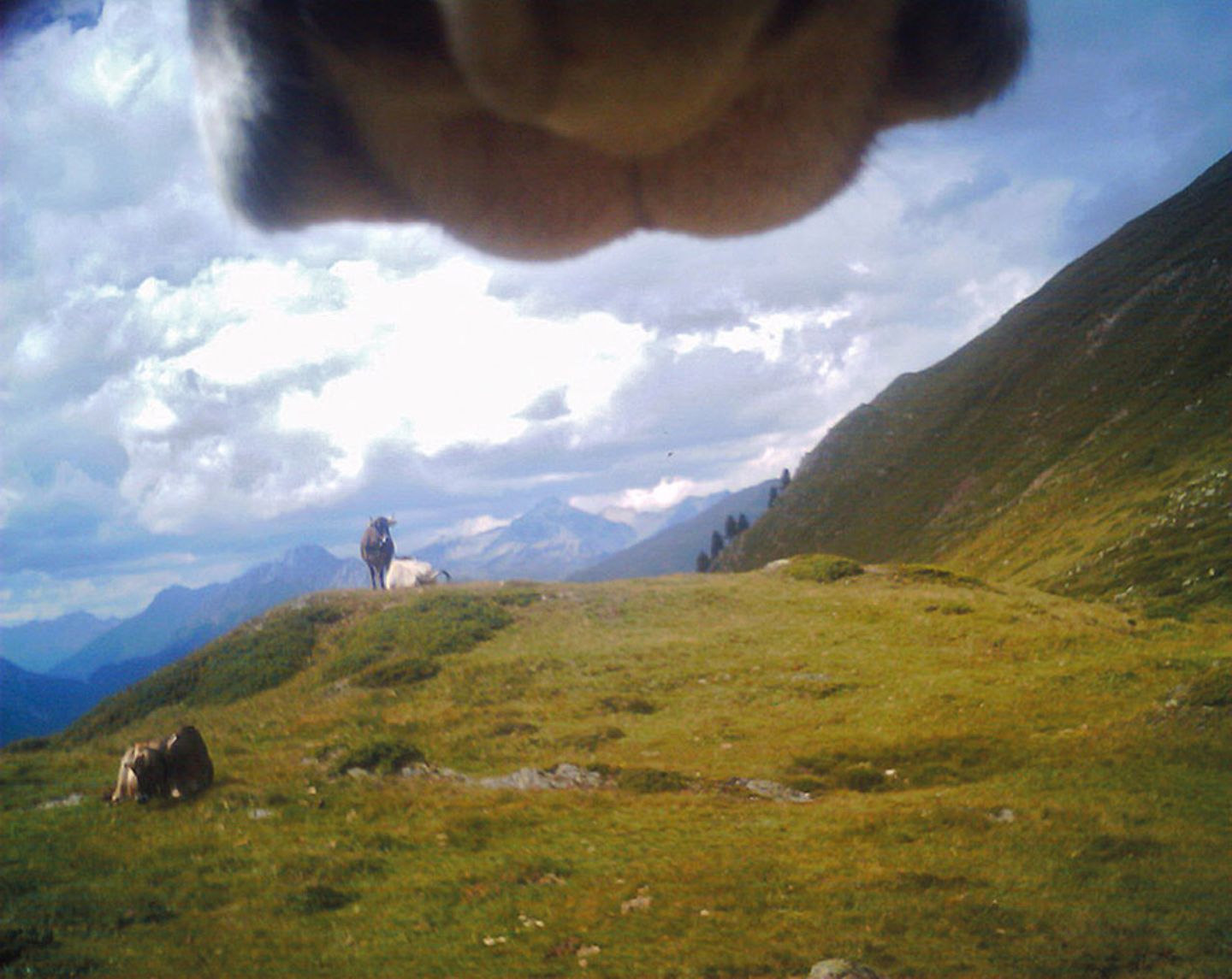 Val Müstair, Fida