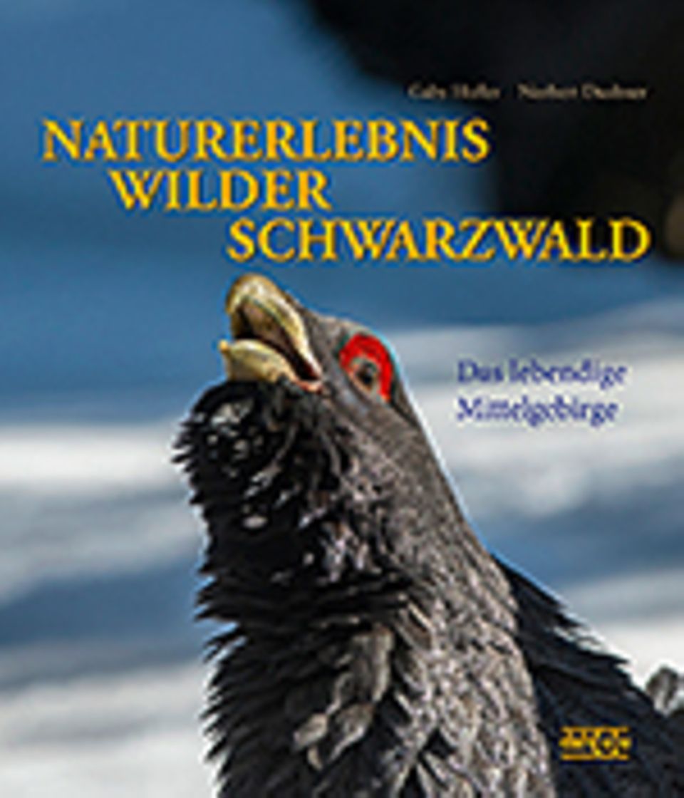Fotogalerie: Naturjuwel Schwarzwald Fotogalerie: Naturjuwel Schwarzwald