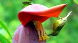 GEO Leserfoto: Die besten Leserfotos: Mai 2015