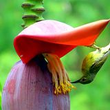 GEO Leserfoto: Die besten Leserfotos: Mai 2015