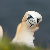 GEO Leserfoto: Die besten Leserfotos: Mai 2015 - Bild 3