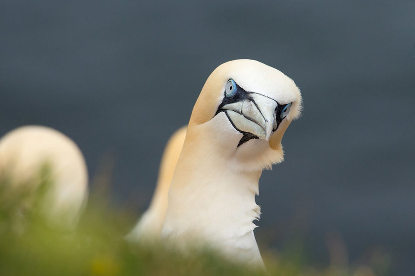 GEO Leserfoto: Die besten Leserfotos: Mai 2015 - Bild 3