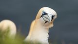 GEO Leserfoto: Die besten Leserfotos: Mai 2015 - Bild 3