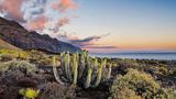 GEO Leserfoto: Die besten Leserfotos: Mai 2015 - Bild 4