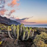 GEO Leserfoto: Die besten Leserfotos: Mai 2015 - Bild 4