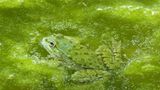 GEO Leserfoto: Die besten Leserfotos: Mai 2015 - Bild 6