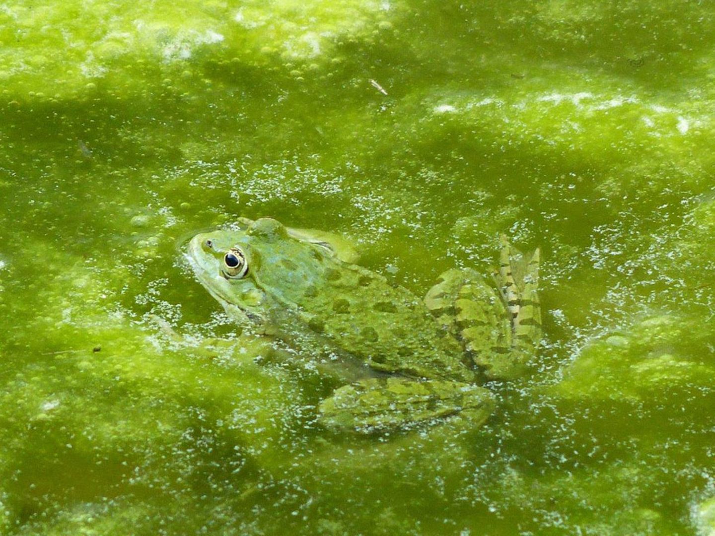 GEO Leserfoto: Die besten Leserfotos: Mai 2015 - Bild 6