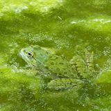 GEO Leserfoto: Die besten Leserfotos: Mai 2015 - Bild 6