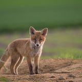 GEO Leserfoto: Die besten Leserfotos: Mai 2015 - Bild 8