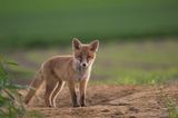 GEO Leserfoto: Die besten Leserfotos: Mai 2015 - Bild 8