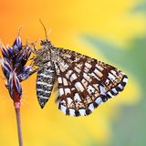 GEO Leserfoto: Die besten Leserfotos: Mai 2015 - Bild 11