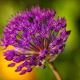 GEO Leserfoto: Die besten Leserfotos: Mai 2015 - Bild 12