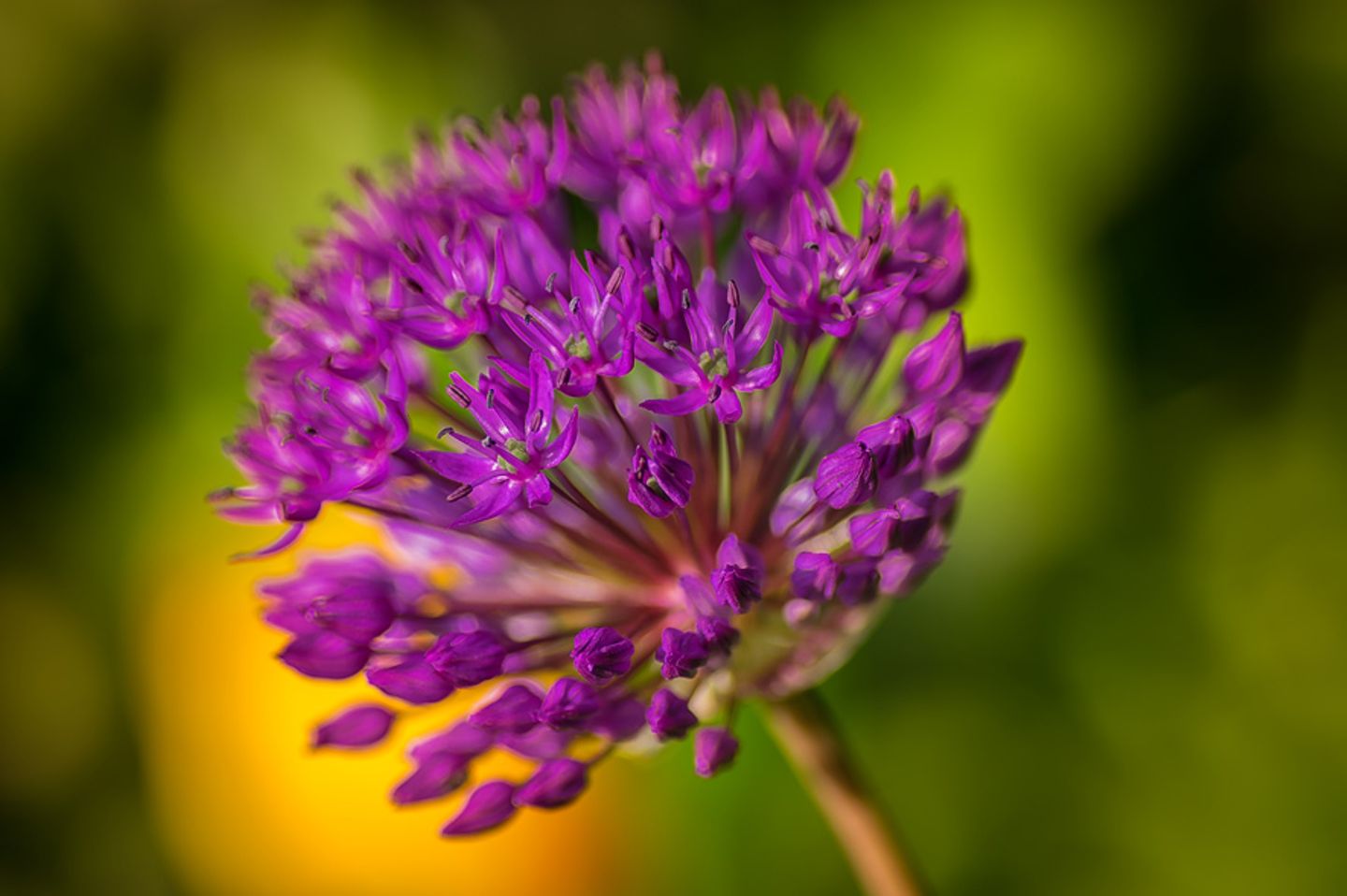 GEO Leserfoto: Die besten Leserfotos: Mai 2015 - Bild 12