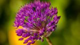 GEO Leserfoto: Die besten Leserfotos: Mai 2015 - Bild 12
