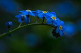 GEO Leserfoto: Die besten Leserfotos: Mai 2015 - Bild 13