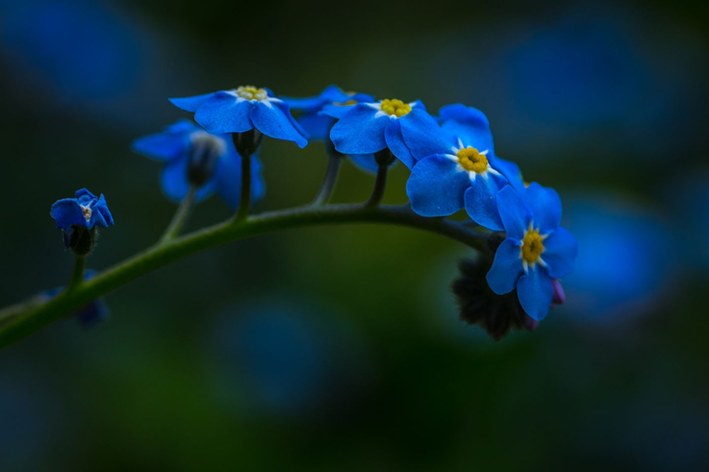 GEO Leserfoto: Die besten Leserfotos: Mai 2015 - Bild 13