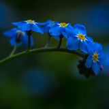 GEO Leserfoto: Die besten Leserfotos: Mai 2015 - Bild 13