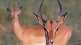 GEO Leserfoto: Die besten Leserfotos: Mai 2015 - Bild 14