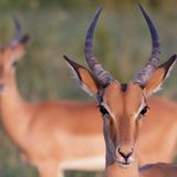 GEO Leserfoto: Die besten Leserfotos: Mai 2015 - Bild 14