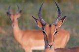 GEO Leserfoto: Die besten Leserfotos: Mai 2015 - Bild 14