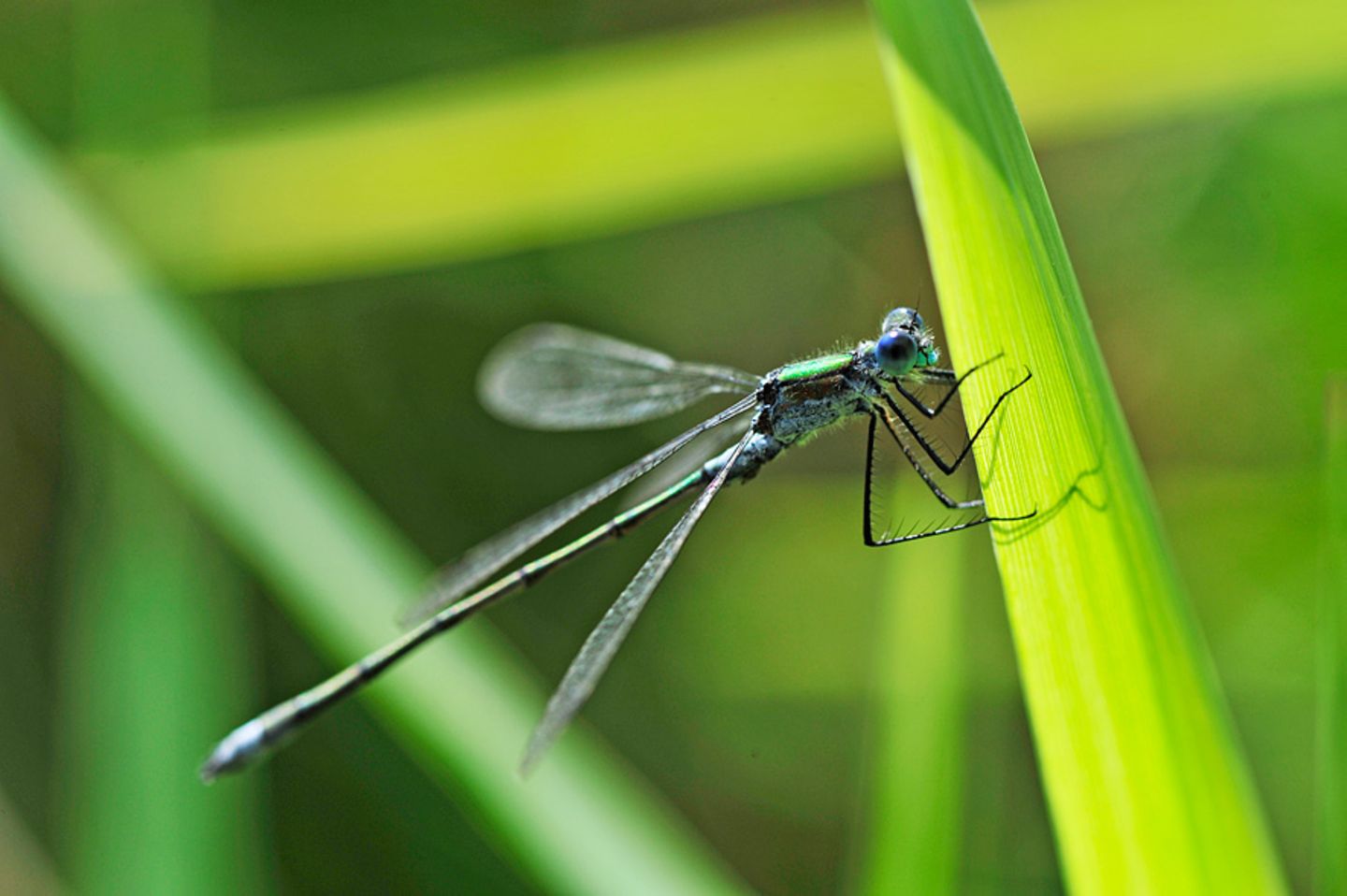 GEO Leserfoto: Die besten Leserfotos: Mai 2015 - Bild 15
